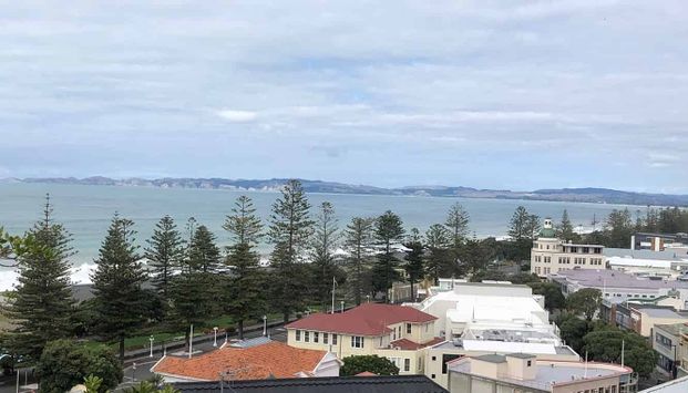 Charming 1 BDR Bluff Hill Flat with Seaviews - Photo 1
