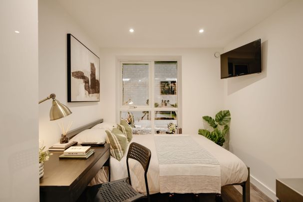 BRAND NEW STUDIOS! - Photo 1