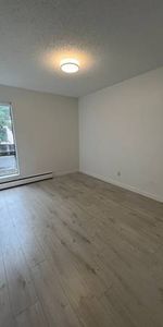 1BED 1BATH PET FRIENDLY SUITE - Photo 4