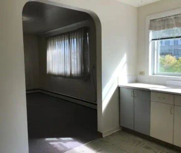 4413 51 Avenue — 102 - Photo 2