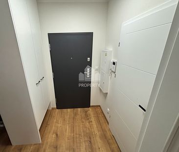 Jar Botanica, ogródek, nowoczesne wnętrze - Zdjęcie 6
