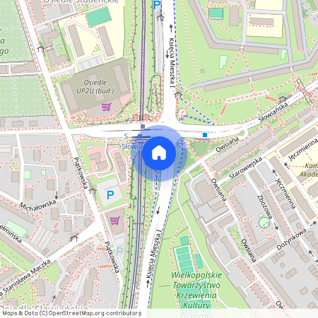 Księcia Mieszka I, Poznań, Winiary