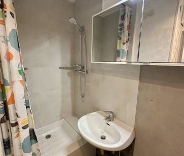 Location Appartement 1 pièce 18m² STRASBOURG 67000 - Photo 1
