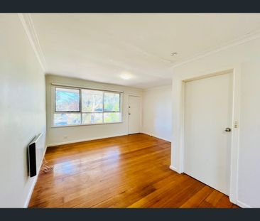 233B Boronia Road, Boronia, Vic 3155 - Photo 5