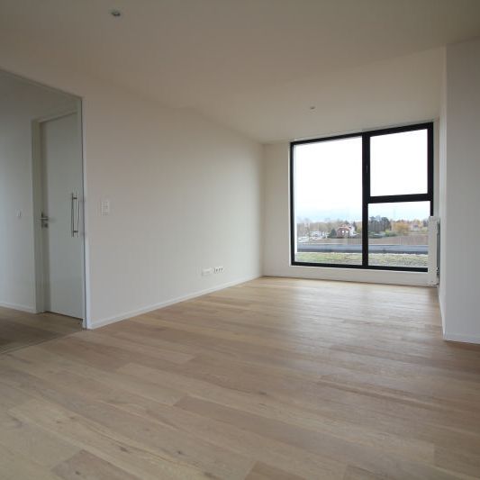 Apartments To Let 3 bedrooms direcly with the owner - Photo 1