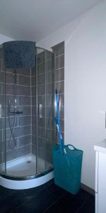 Location Appartement 1 pièce 13m² PERIGUEUX 24000 - Photo 3