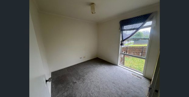 Views Of The Parklands - Photo 1