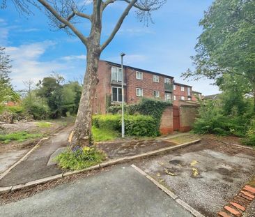 1 bedroom Flat To Let - Photo 4