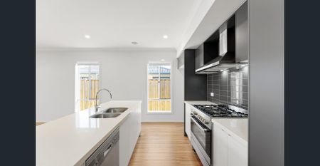 Beautiful, Band New Family Entertainer - Photo 3