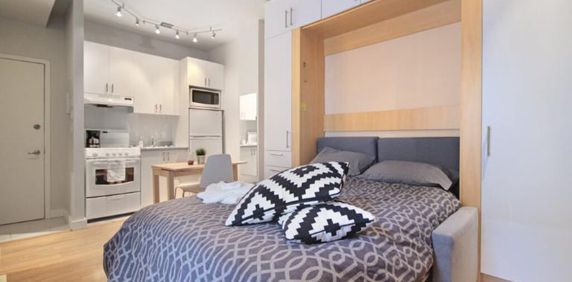 Loft entièrement meublé à louer Saint-Jean-Baptiste juillet 2026 - Photo 2