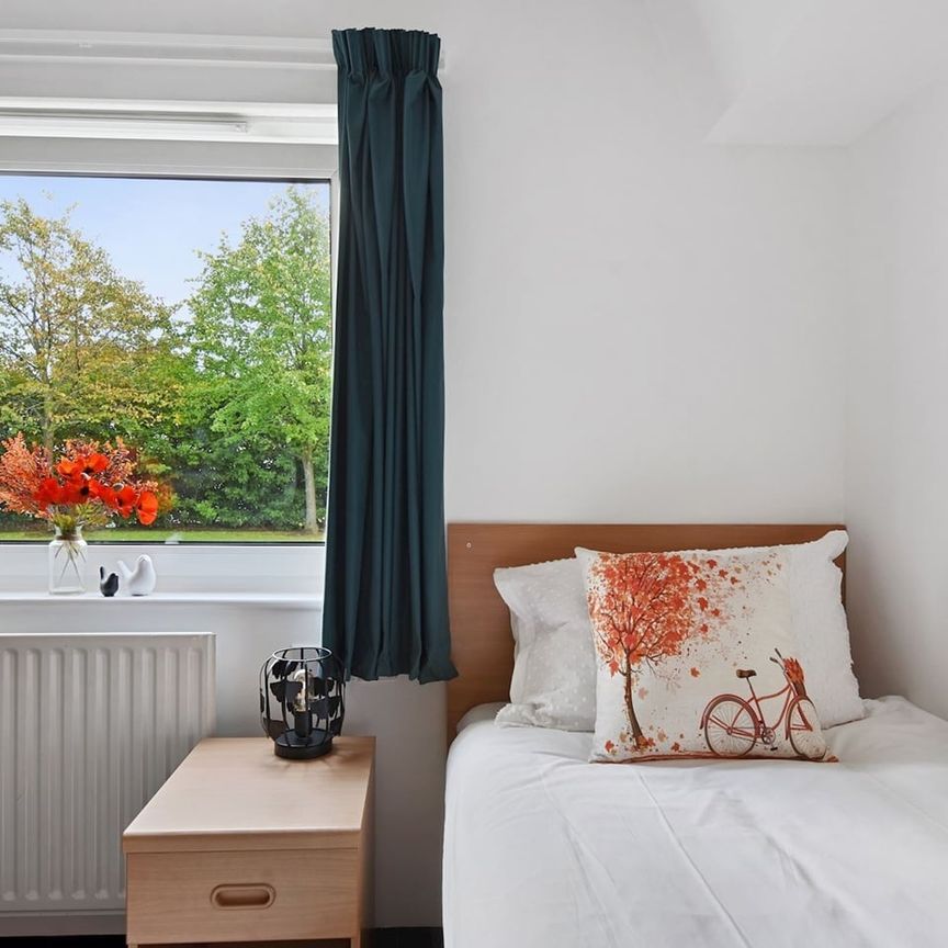 Bedsit, Hodgson Court, HA1 - Photo 1