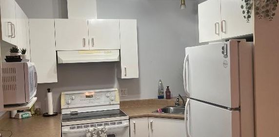 3½ à louer – Plateau de la Capitale (Hull) – Duplex propriétaire occupant - Photo 2