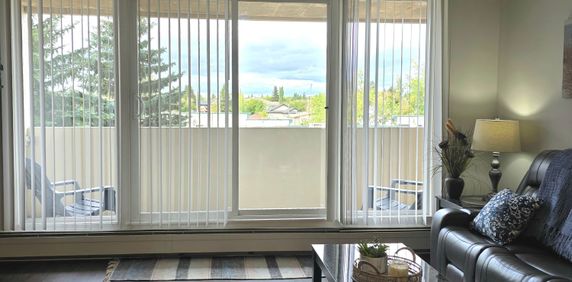 307, 4902 - 37 St - Photo 2