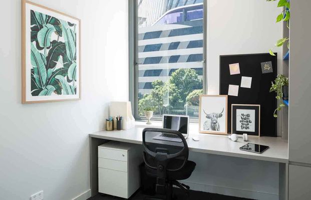 1 Bedroom Studio Premium Plus - Photo 1