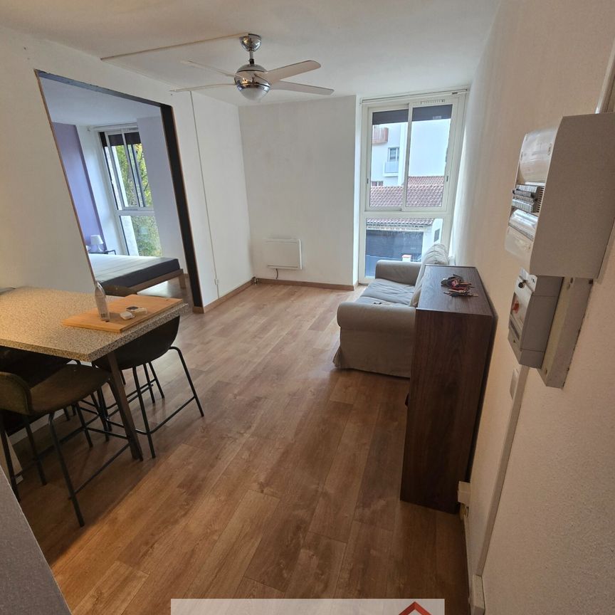 Appartement T2 meublé en location à Toulouse - Photo 1