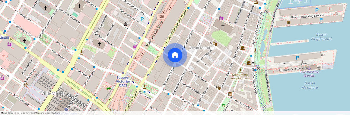 275 Rue St-Jacques #201, Ville-Marie (Montréal), H2Y1M9