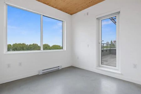 Main & 41st Apartments — 2 Bedroom 1 Bathroom - Photo 3