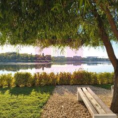 Garsonieră Lebăda Lake Residence - Photo 3