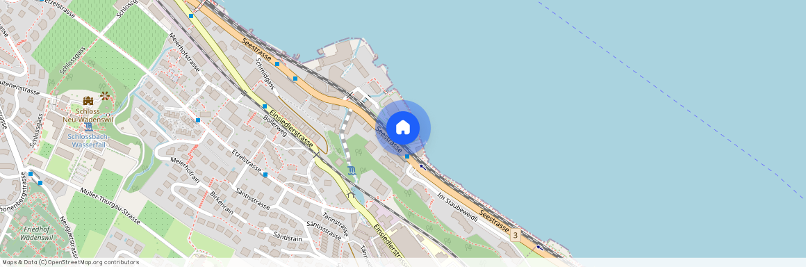 Giessen 18, 8820 Wädenswil