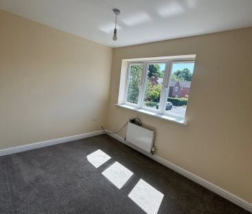 Lindley Avenue - Photo 5