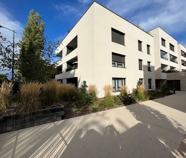 Location Appartement 4 pièces 95m² CALUIRE ET CUIRE 69300 - Photo 6