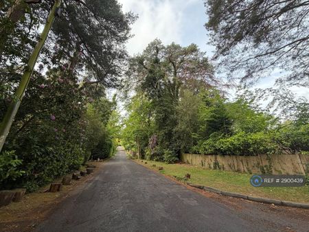 1 bedroom in a house share to rent - Photo 4