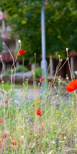 Torstensonsgatan 33, Borås - Foto 3