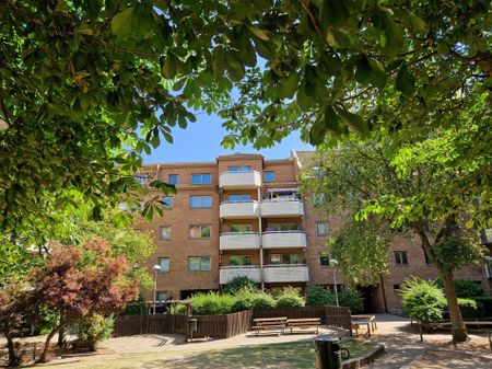 Stora Trädgårdsgatan 5A, Gamla Staden - Foto 2