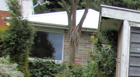 3 bedroom Home in North Dunedin! - Photo 3