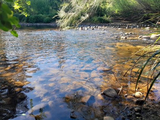 Tranquil Haven in Kangaroo Valley - Photo 1