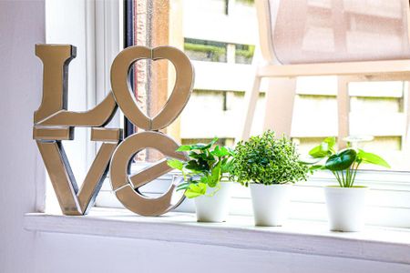 3 bedroom house to rent - Photo 4