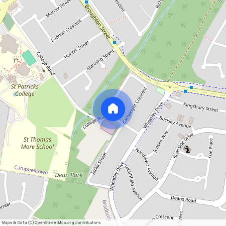 51 Cartwright Crescent, NSW 2560, Airds