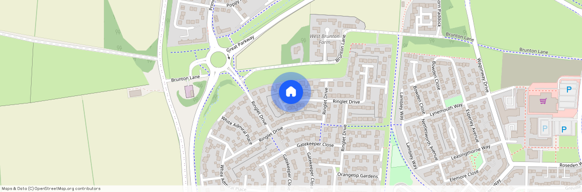 73, Ringlet Drive, Great Park, Newcastle Upon Tyne, NE13 9EL