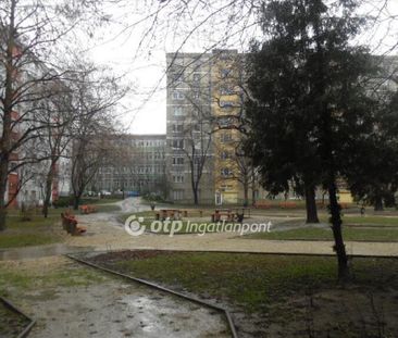 Kiadó jó állapotú lakás - Budapest XI. kerület - Fotó 2