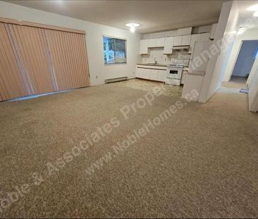 5649 Elsom Avenue DOWN Burnaby - Photo 5