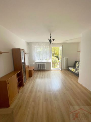 MIESZKANIE na WYNAJEM POLICE (437419) - Zdjęcie 2