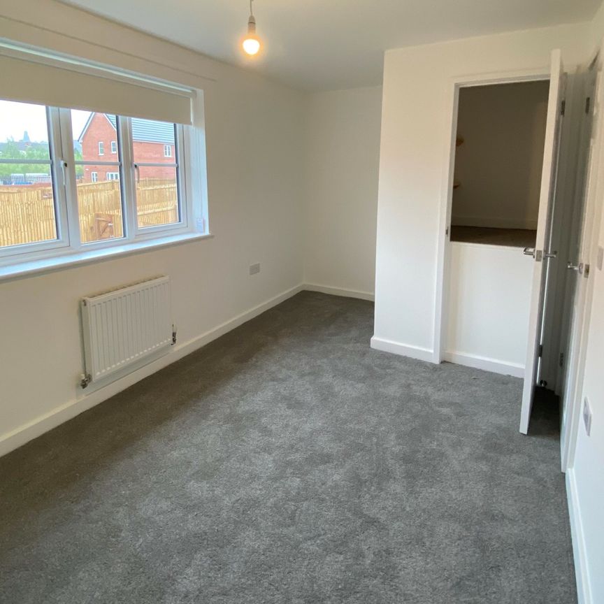 The Lawrence - Photo 1