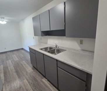 Spacious Two Bedroom unit on South Hill - Photo 2