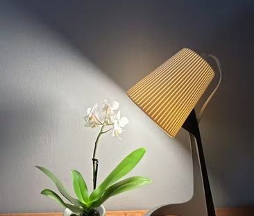 Via di Casal Bertone, Rome, Lazio 00159 - Photo 2