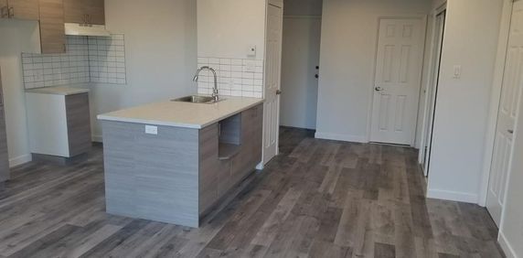 Nouveau 4 1/2 à louer Greenfield Park Longueuil Rive-Sud 1er août - Photo 2