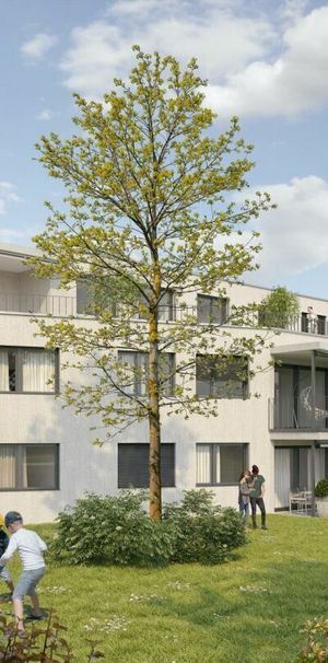 Kaisten / Apartment 3.5 rooms A 1.3 - Photo 1