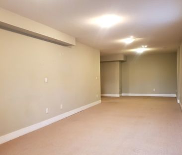 35672 Zanatta Place, Abbotsford (BASEMENT) - Photo 3