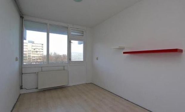 Hofgeest 1102 Amsterdam - Photo 1