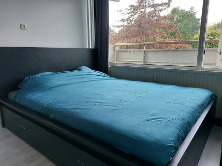 Chambre à Capelle aan den IJssel, Dotterlei - À louer - Foto 4