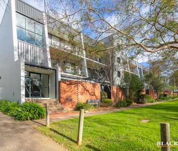 16/10 Ovens Street, Griffith ACT 2603 - Apartment For Rent | Domain - Photo 1