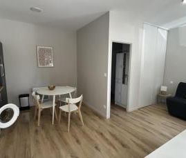 Location Appartement 1 pièce 25m² ROANNE 42300 - Photo 5