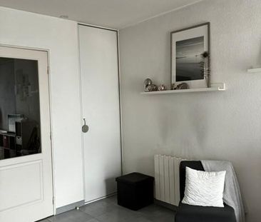 Location Appartement 1 pièce 30m² MEYZIEU 69330 - Photo 3