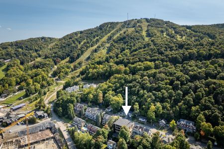 Condo à vendre à Bromont - Photo 2