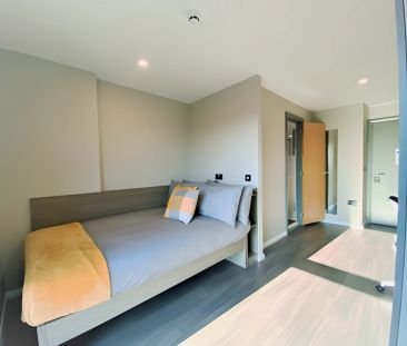 Ensuite silver - accessible - Photo 4