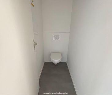 LIÈGE – COINTE – TB appart. rénové, 2 ch, gar.,jard. - Loyer: 1 050... - Photo 4